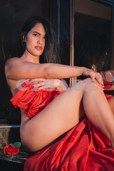 Afreez High Class Luxury Photo 1 of 1
